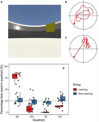 Frontal delta and theta power reflect strategy changes during human spatial memory retrieval in a virtual water maze task: an exploratory analysis